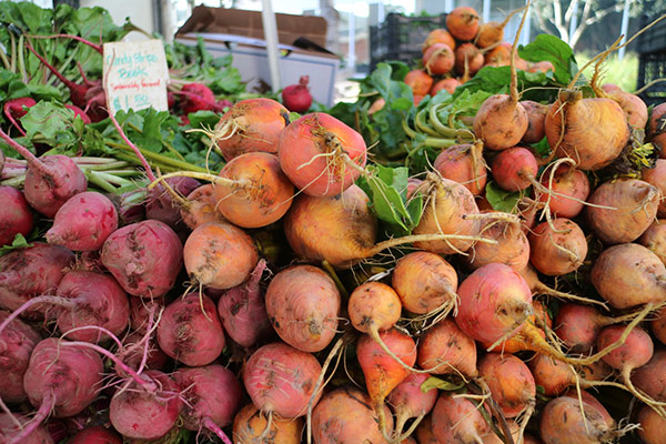 Food Oasis Project